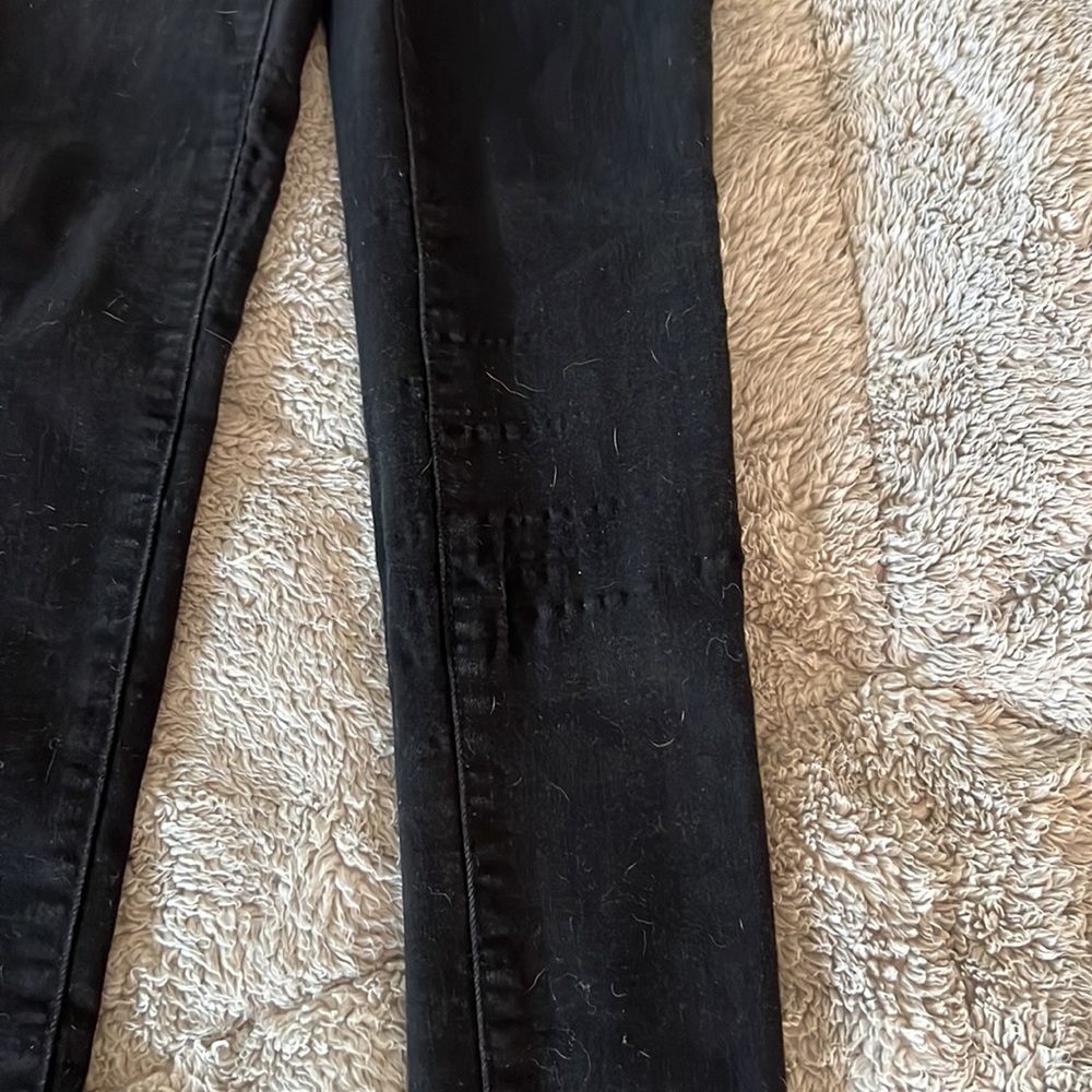 American eagle - Picture 5 of 10